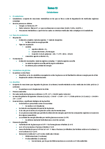 13.-Catabolismo.pdf