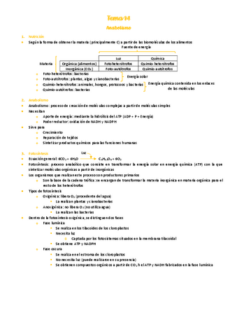14.-Anabolismo.pdf
