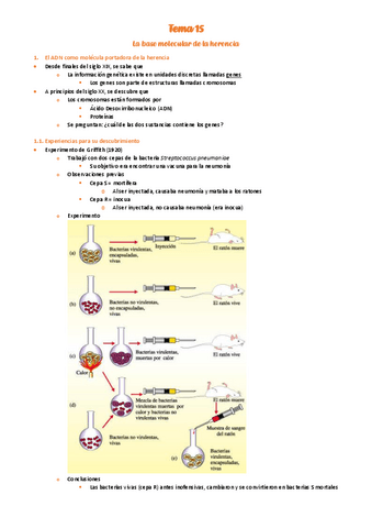 15.-Base-molecular-de-la-herencia.pdf