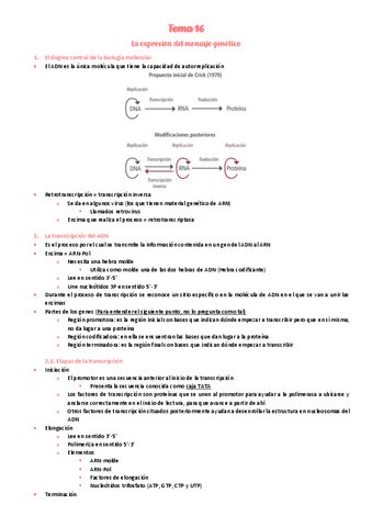16.-Expresion-del-mensaje-genetico.pdf