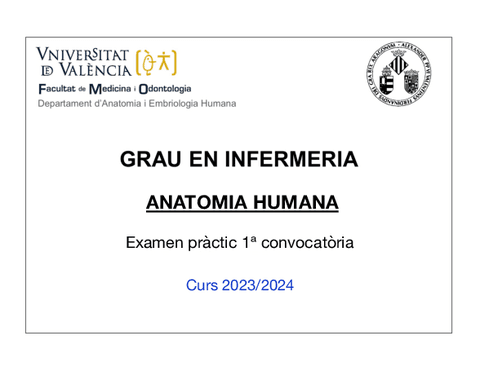 EXAMEN-PRACTICO-ANATOMIA-2023/24.pdf