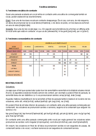 Fonetica-sintactica.pdf