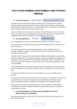 Tema 6.pdf