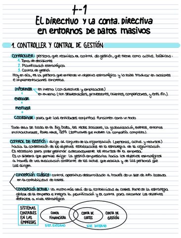 T1-EL-DIRECTIVO-Y-LA-CONTA-DIRECTIVA-EN-ENTORNOS-DE-DATOS-MASIVOS.pdf