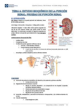 Apuntes-BIOQUIMICA-CLINICA-Tema-6.pdf