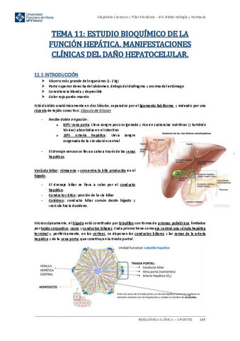 Apuntes-BIOQUIMICA-CLINICA-Tema-11.pdf