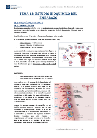 Apuntes-BIOQUIMICA-CLINICA-Tema-13.pdf