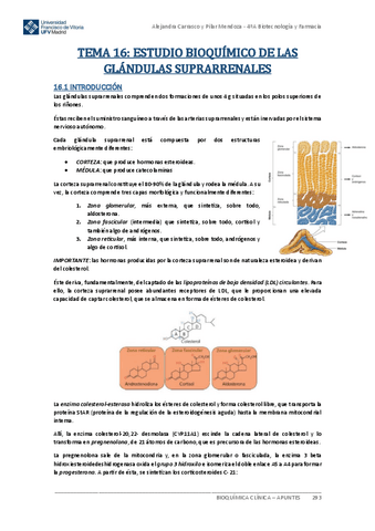 Apuntes-BIOQUIMICA-CLINICA-Tema-16.pdf