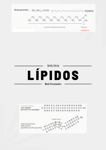 tema-lipidos-segundo-bachillerato.pdf