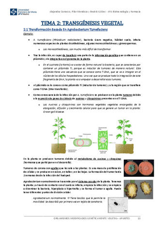 Apuntes-OMG-VEGETAL-Tema-2.pdf