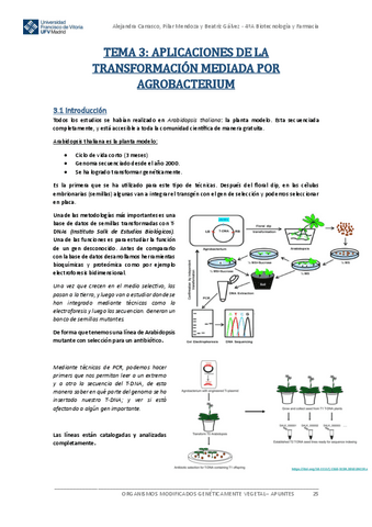 Apuntes-OMG-VEGETAL-Tema-3.pdf