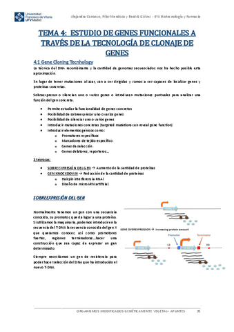 Apuntes-OMG-VEGETAL-Tema-4.pdf