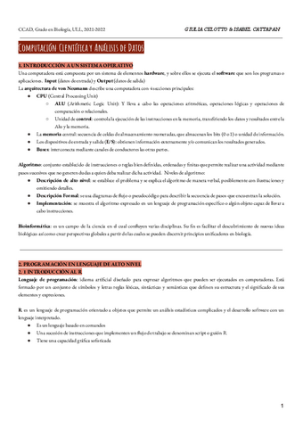 CCAD-Apuntes.pdf