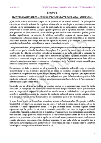 ENSAYO1marinaus.pdf