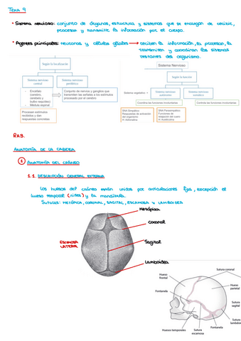 Necropsia-COMPLETO.pdf