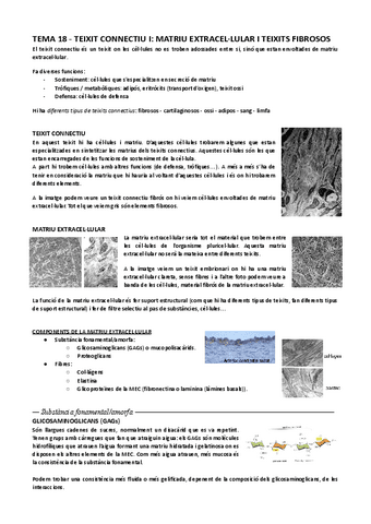 Tema-18-Teixit-connectiu-I-matriu-extracellular-i-teixits-fibrosos-animal.pdf