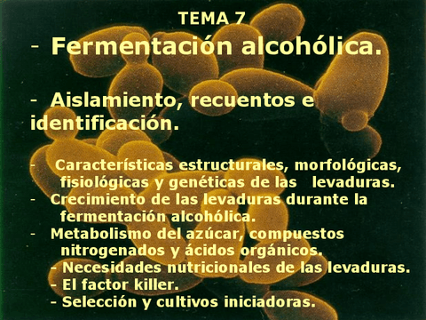Tema-7.pdf