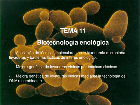 Tema-11.pdf