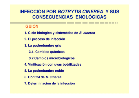 TEMA10.pdf