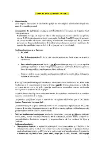 TEMA-14.pdf