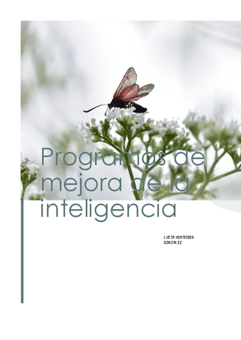 Programas-de-mejora-de-la-inteligencia-dosier.pdf