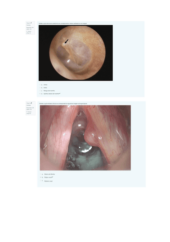 Examen-seminarios-PatVHA.pdf