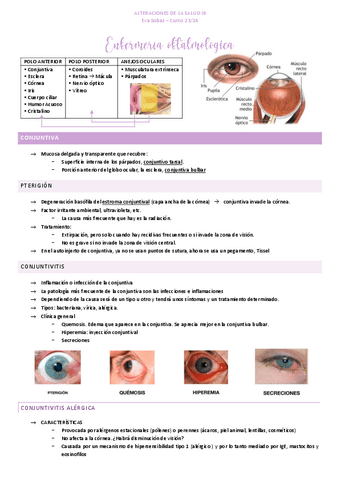 13.-Oftalmologia.pdf