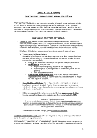 TEMA-3-Y-TEMA-6-JUNTOS-1.pdf