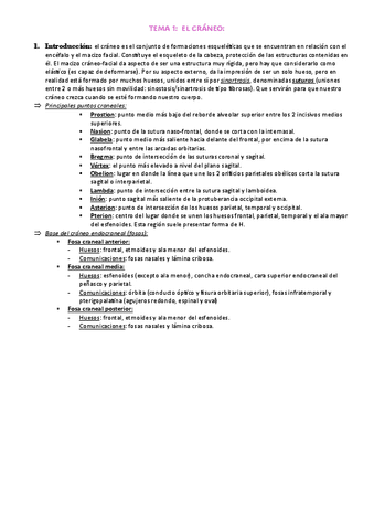 t-1-craneo.pdf