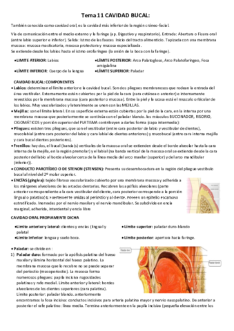 Tema 11 CAVIDAD BUCAL.pdf