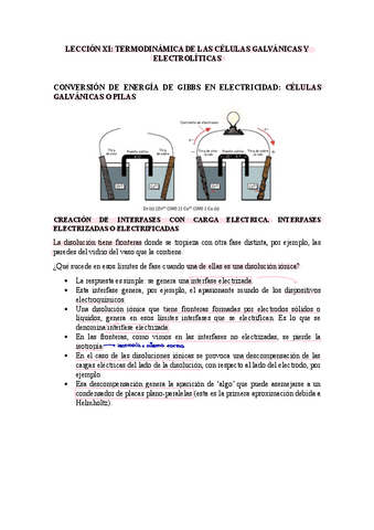 Resumen-LecciAn-XI.pdf