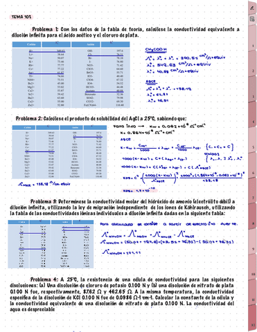 problemas-leccion-10.pdf