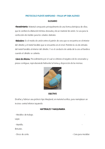 PROTOCOLO-PUENTE-MARYLAND..pdf