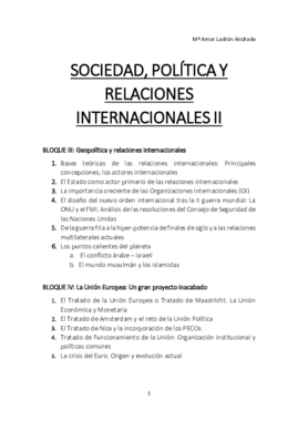 SOCIEDAD Y POLITICA.pdf