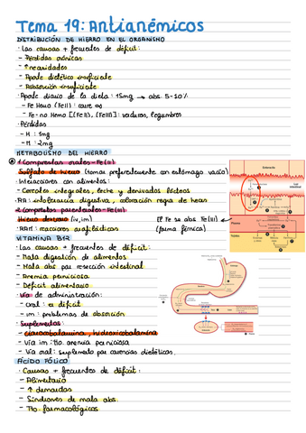 Tema-19-Antianemicos.pdf
