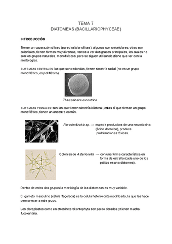 BOTANICA-MARINA-tema-7.pdf