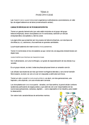 BOTANICA-MARINA-tema-8.pdf