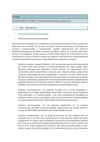 Derecho-constitucional-Derechos-Fundamentales-y-su-proteccion.pdf