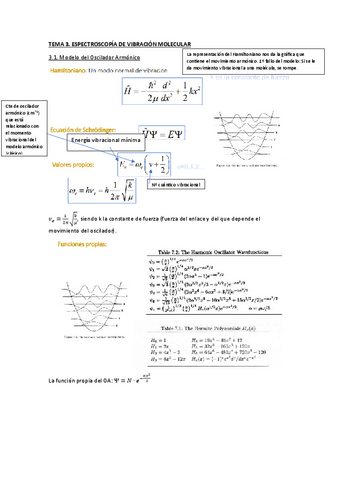 T3.pdf