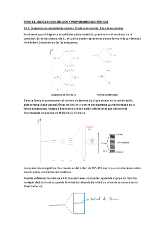 T14.pdf