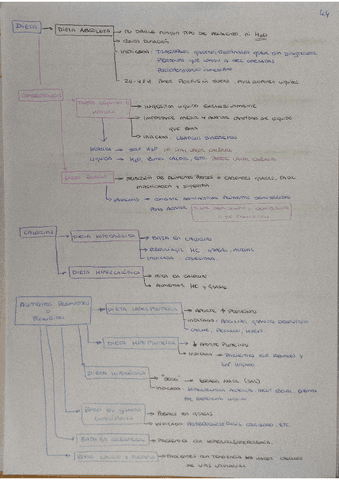44.pdf