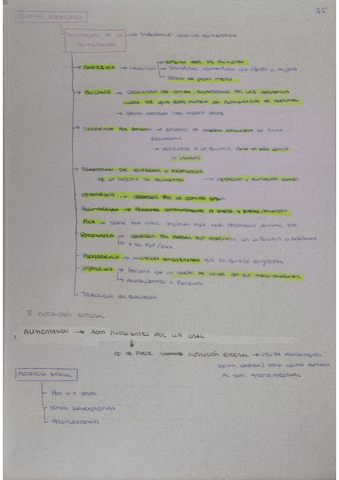 55.pdf