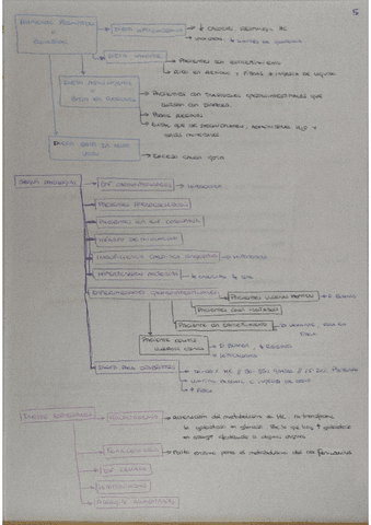 5.pdf