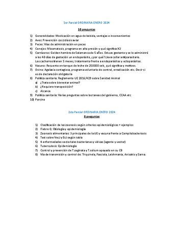 Ordinaria-2024-1er-y-2do-parcial.pdf