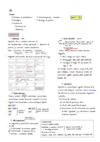 ResumenTDI.pdf