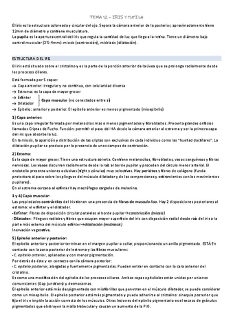 TEMA-12.pdf