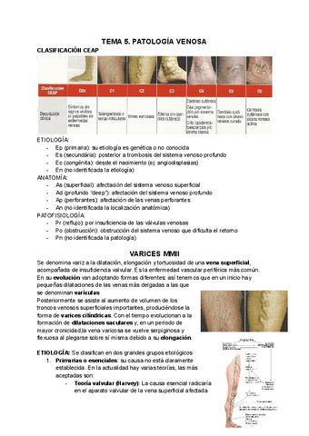 TEMA-5.pdf