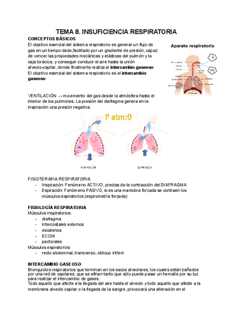 TEMA-8.pdf