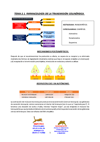 TEMA-2.1.-FARMACOLOGIA-DE-LA-TRANSMISION-COLINERGICA-23-24.pdf