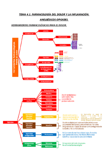 TEMA-4.1.-FARMACOLOGIA-DEL-DOLOR-Y-LA-INFLAMACION-ANALGESICOS-OPIOIDES-NO-OPIOIDES-AINES-ANTITERMICOS-23-24.pdf